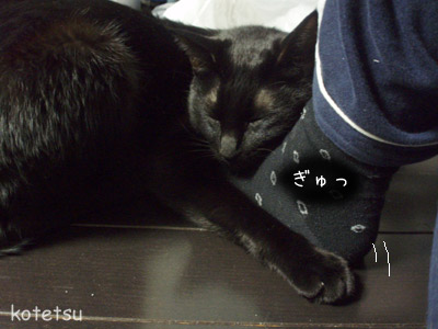 c0132438_22172084.jpg
