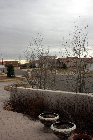 e0104941_3453542.jpg
