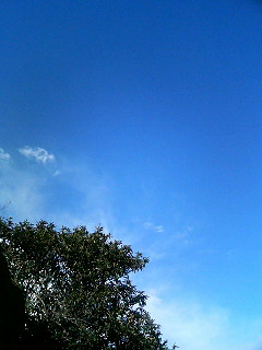 e0150843_1640439.jpg