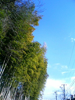e0150843_16552432.jpg