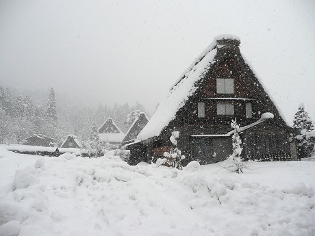 c0057946_1434181.jpg