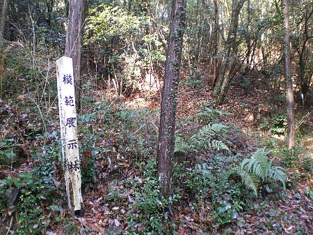 c0042847_2214245.jpg