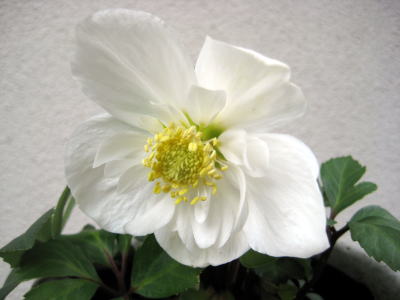 c0147952_2251644.jpg