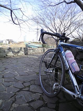 c0179152_2201671.jpg