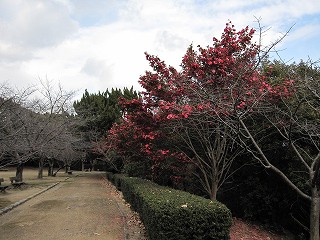 d0031853_23233287.jpg
