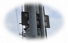 d0031853_2335981.jpg