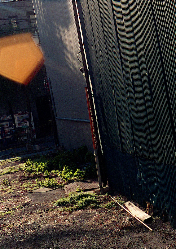 c0084666_013142.jpg