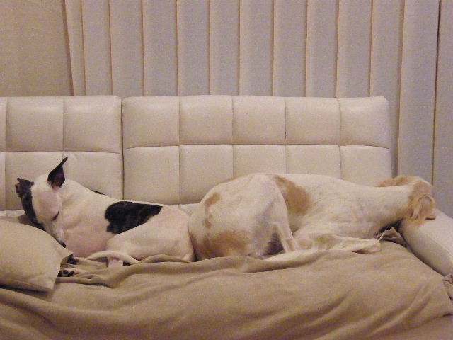 e0003270_10315171.jpg