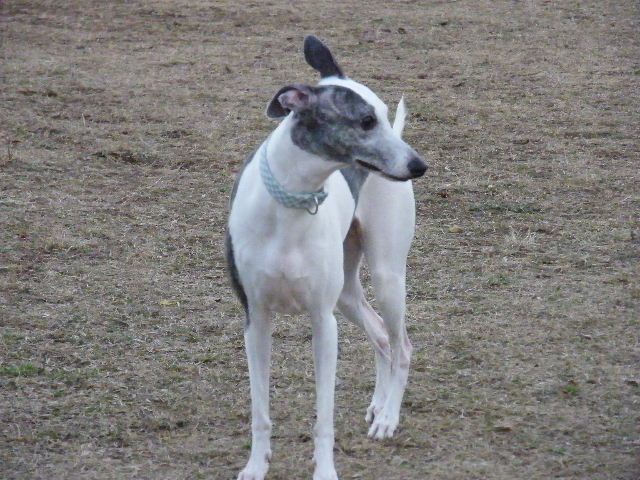 e0003270_10444617.jpg