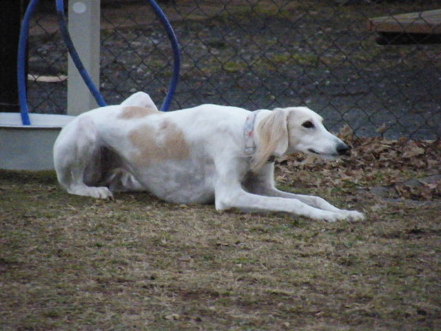 e0003270_10482099.jpg