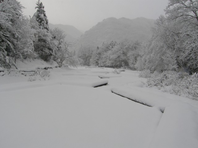 d0134473_11403537.jpg