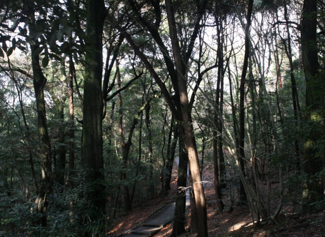 c0144185_2063913.jpg