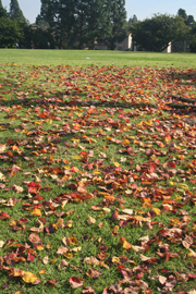 c0033994_23385592.jpg