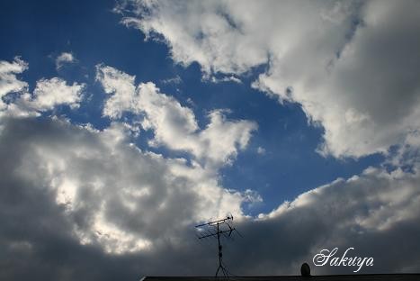 e0122194_2017946.jpg