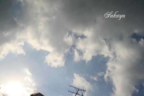 e0122194_20194398.jpg