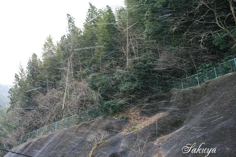 e0122194_2024076.jpg
