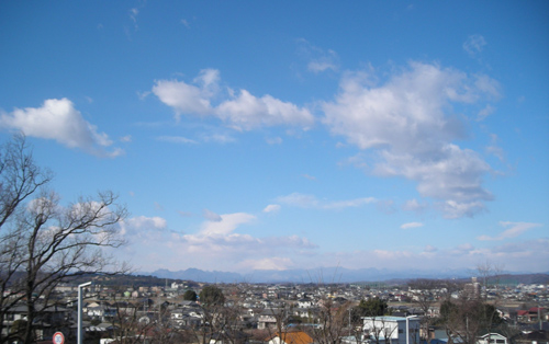 d0000995_2130218.jpg