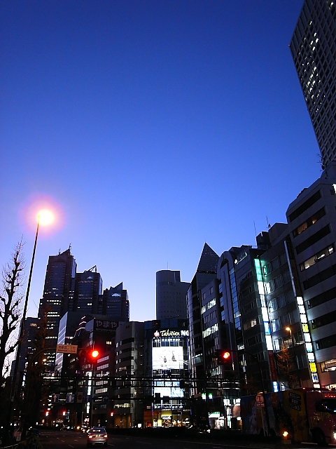 d0081997_230049.jpg