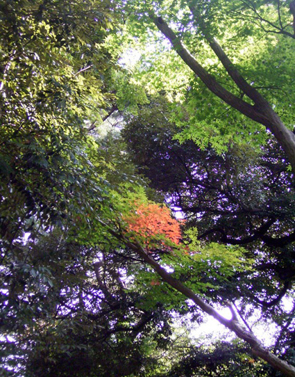 e0043700_1042502.jpg