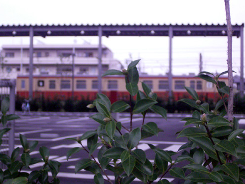 e0043700_10454736.jpg