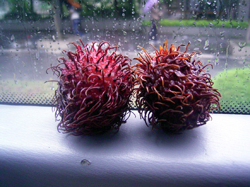 e0043700_12264370.jpg