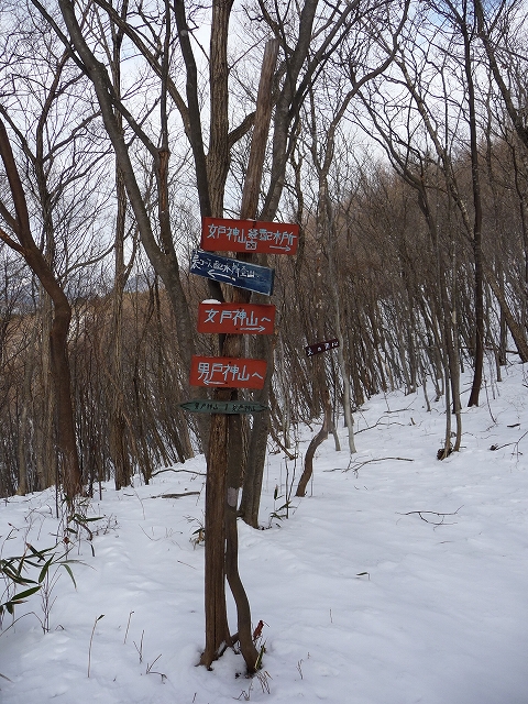 e0137200_17521493.jpg
