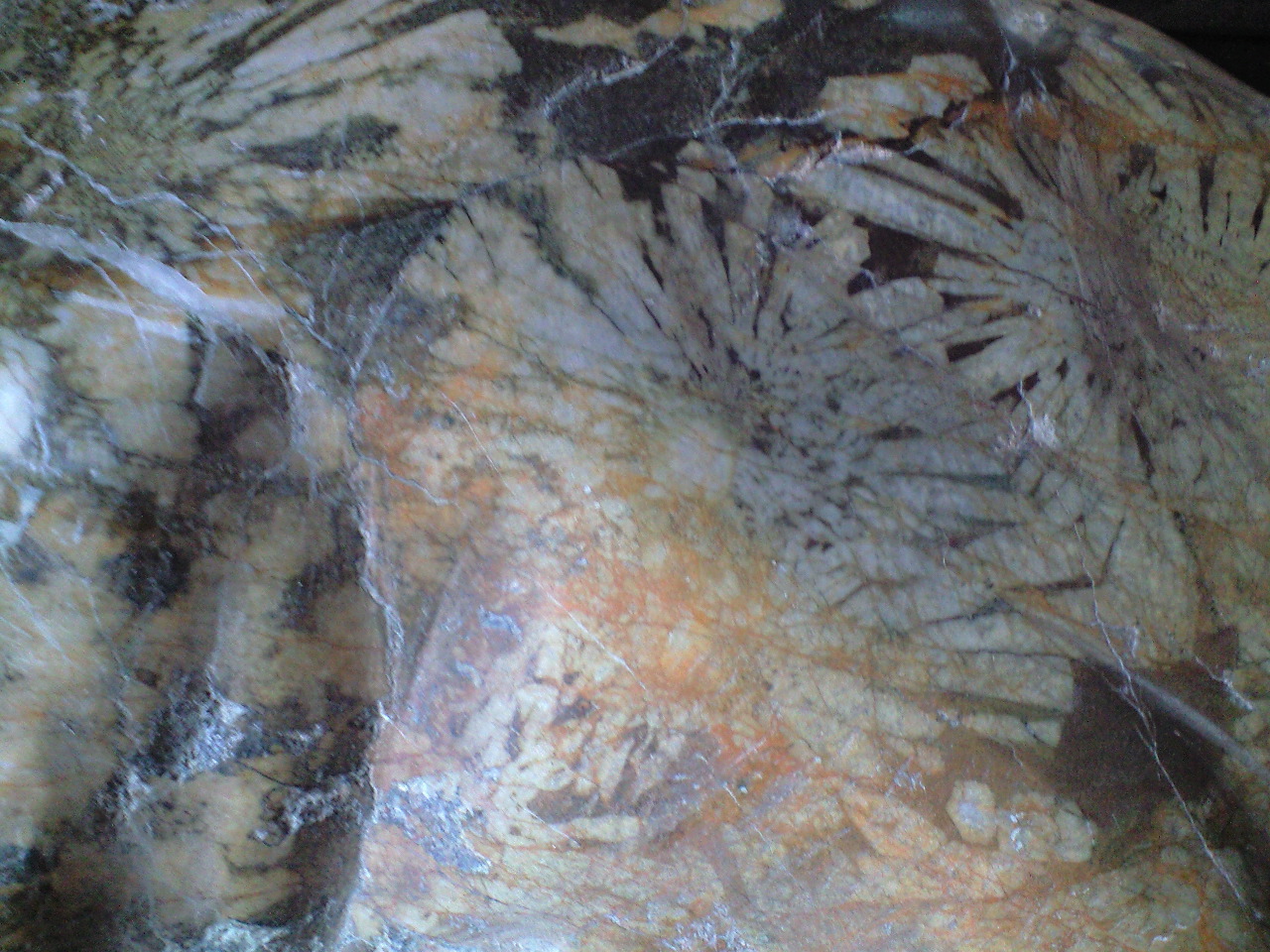 d0000607_1743338.jpg