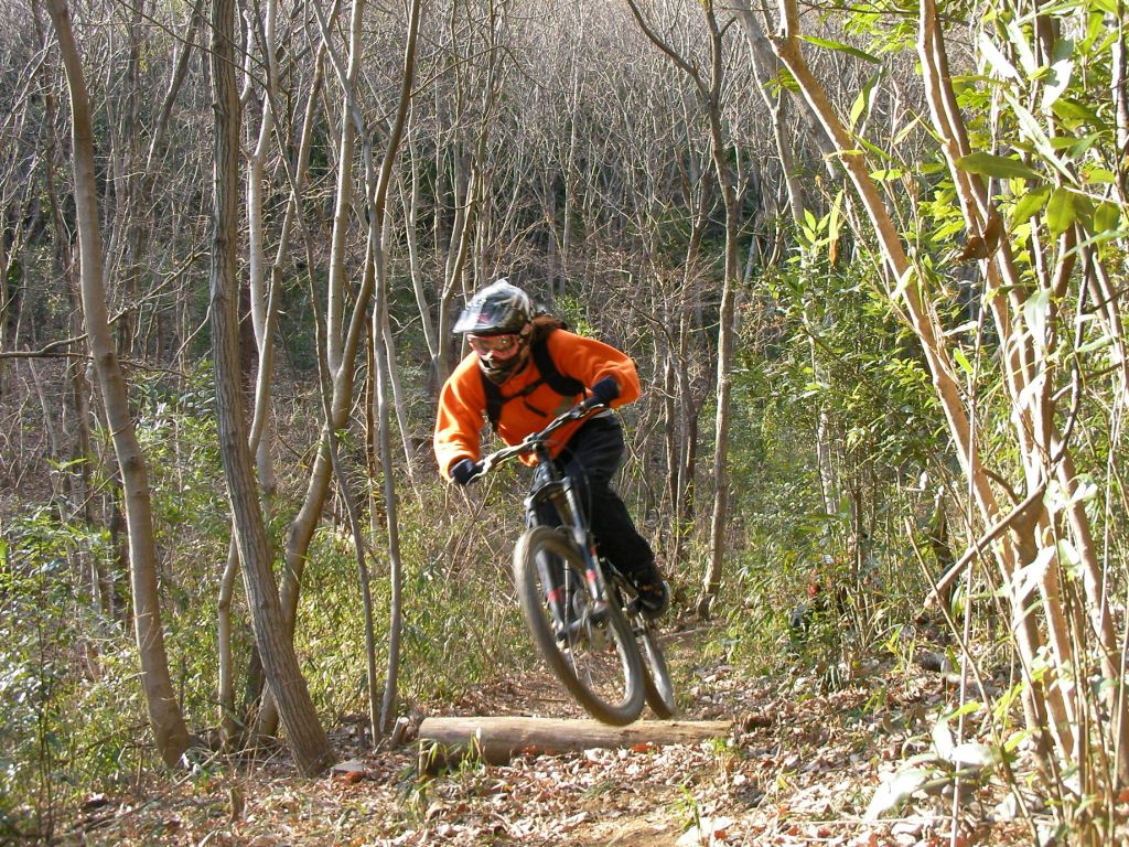 f0140307_2332193.jpg