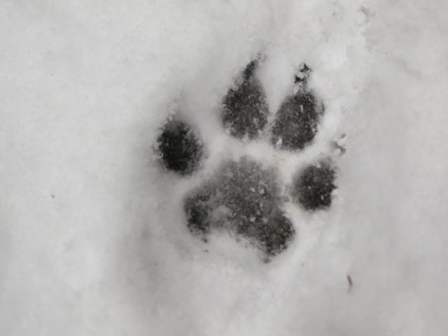 b0143214_23162958.jpg