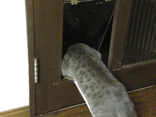 c0158916_213947.jpg