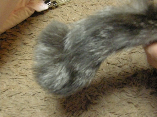c0158916_21473570.jpg