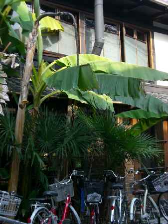 d0072318_10543548.jpg