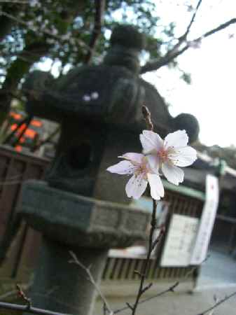 d0072318_1122884.jpg