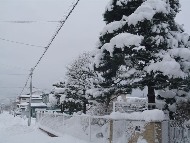 e0111220_17381097.jpg
