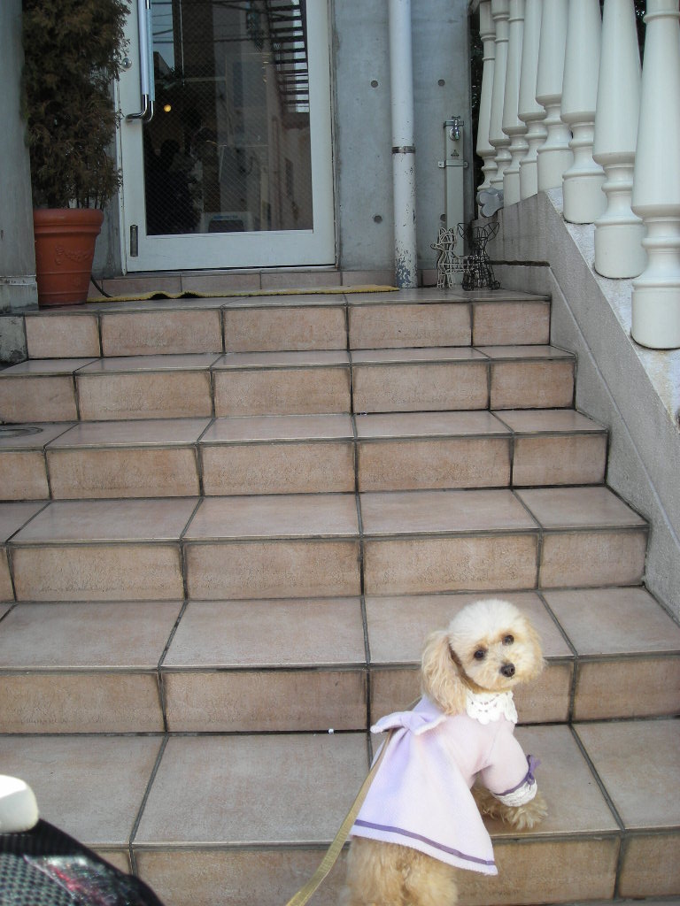 c0149622_042550.jpg
