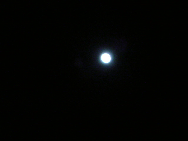 e0016828_11141832.jpg