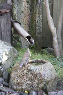 f0034733_5314450.jpg