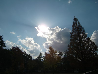 c0183137_1059511.jpg