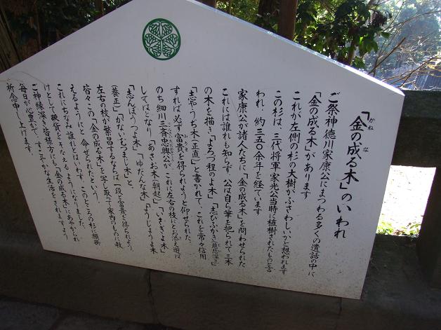 b0089338_22504890.jpg