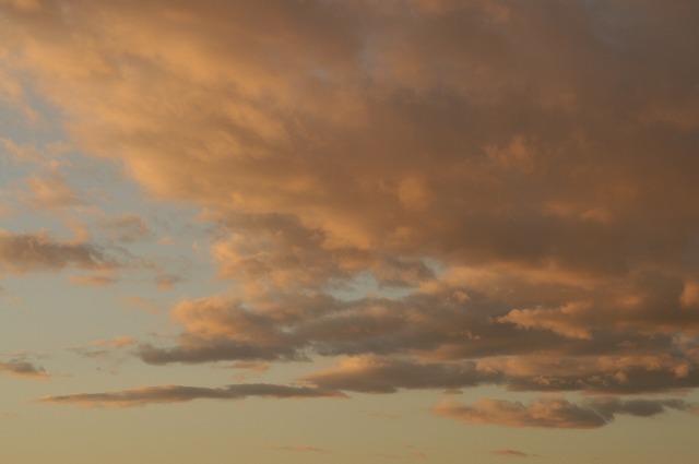 d0141239_1593697.jpg