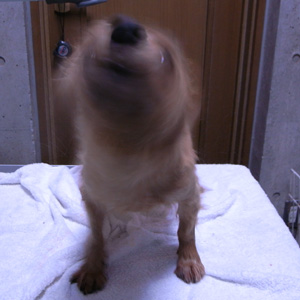 c0119742_0531569.jpg