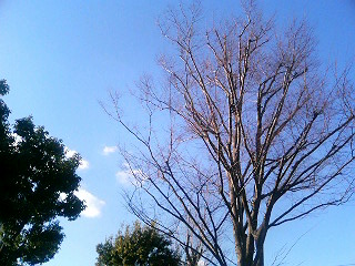 e0150843_2029949.jpg