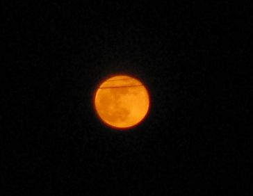 b0148945_21364100.jpg
