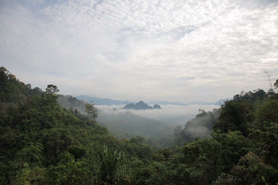 a0094850_1534775.jpg