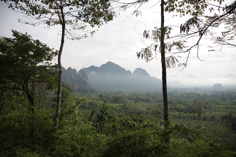 a0094850_1543213.jpg
