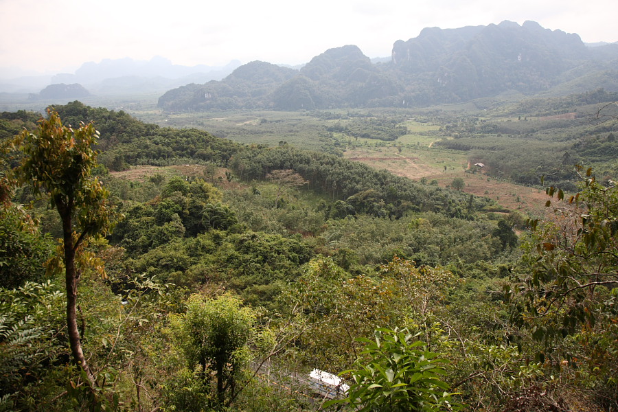 a0094850_1564323.jpg