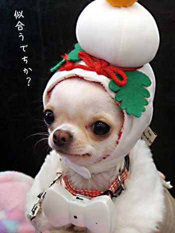 c0019050_1534831.jpg