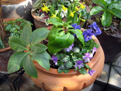 c0147952_12104419.jpg
