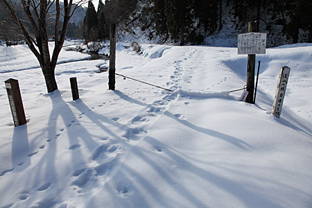 e0113053_22555472.jpg