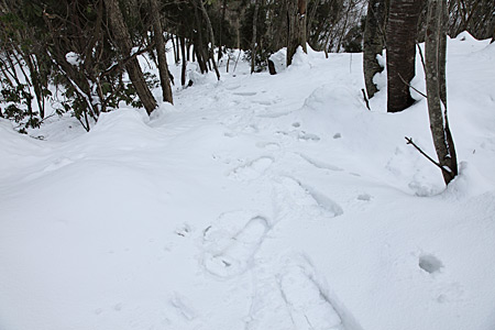 e0113053_22572330.jpg